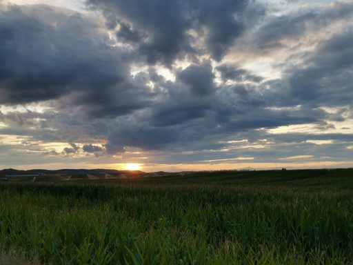Atardecer en los campos